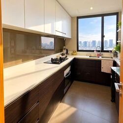Waterbank at Dakota (D14), Condominium #628868061